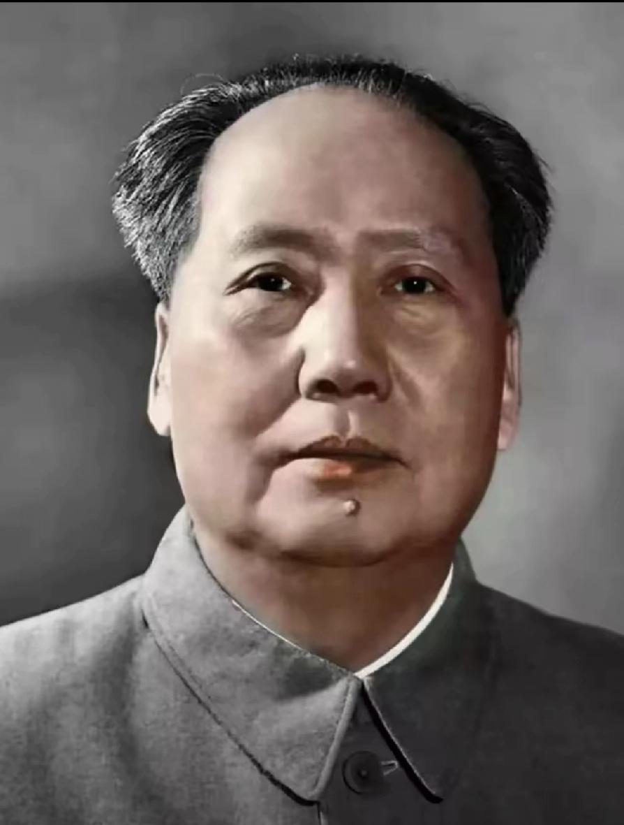 韶山走出的少年，
在动荡的年代里扛起了拯救百姓的重担。井冈山的翠竹经受过风雨的洗