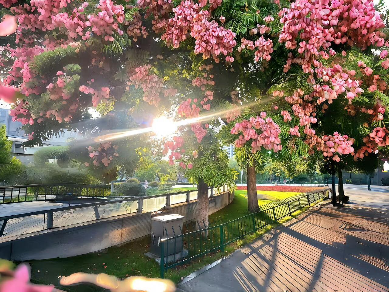 一期生命力iPad电脑壁纸～ 