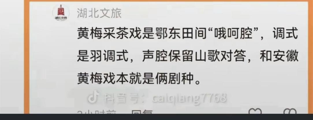 你们的戏叫哦呵腔，与黄梅戏是两个剧种，根本不可能起源黄梅戏
