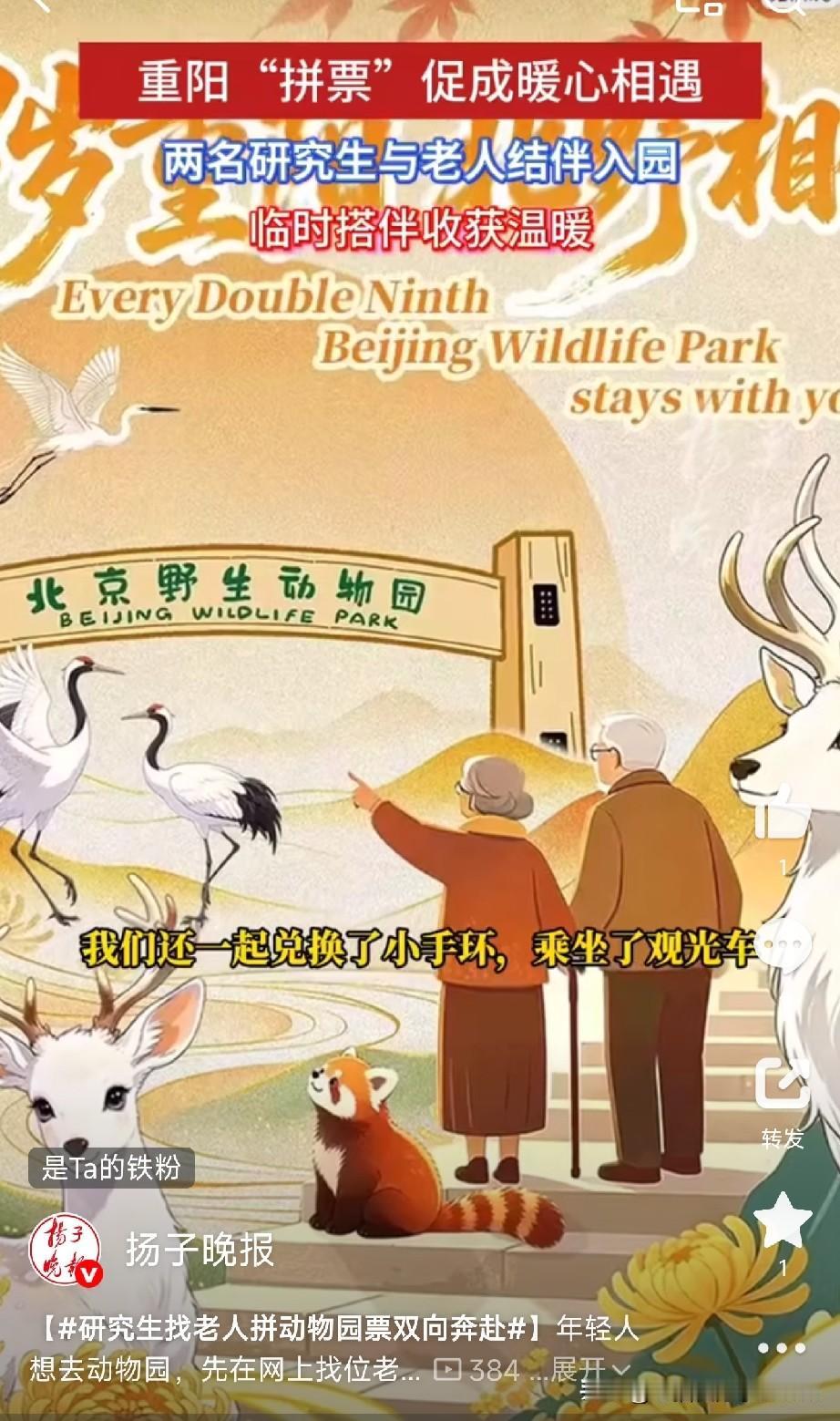 研究生“拼团”带老人逛动物园，这波操作我愿称之为民间智慧天花板

北京俩规培研究