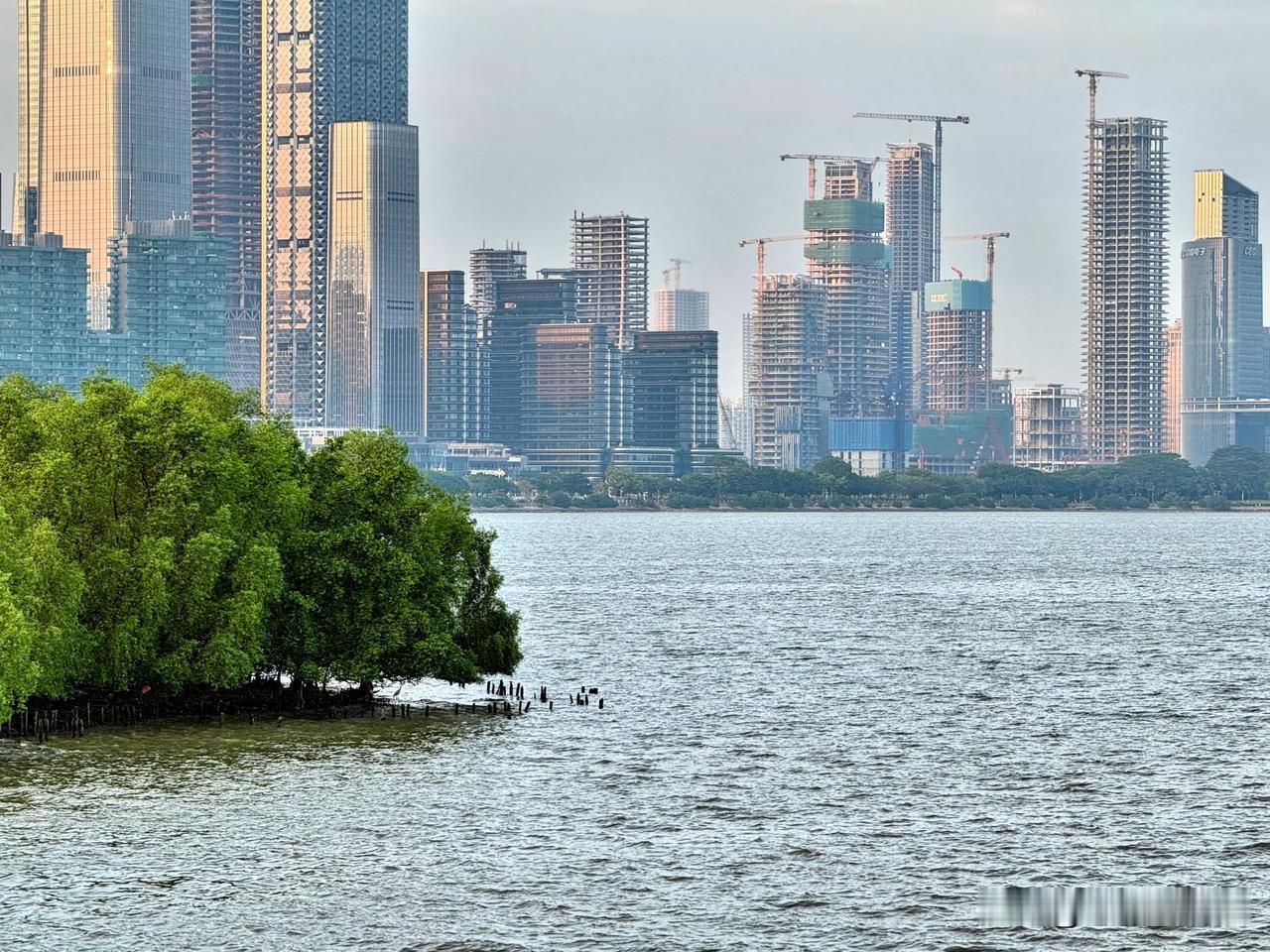 深圳湾拍照打卡好去处，海景风光魅力无限深圳湾拍照点 [招财进宝][福][兔年大吉