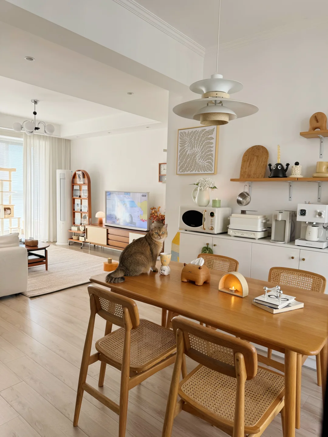 住了5年的家，越住越喜欢～