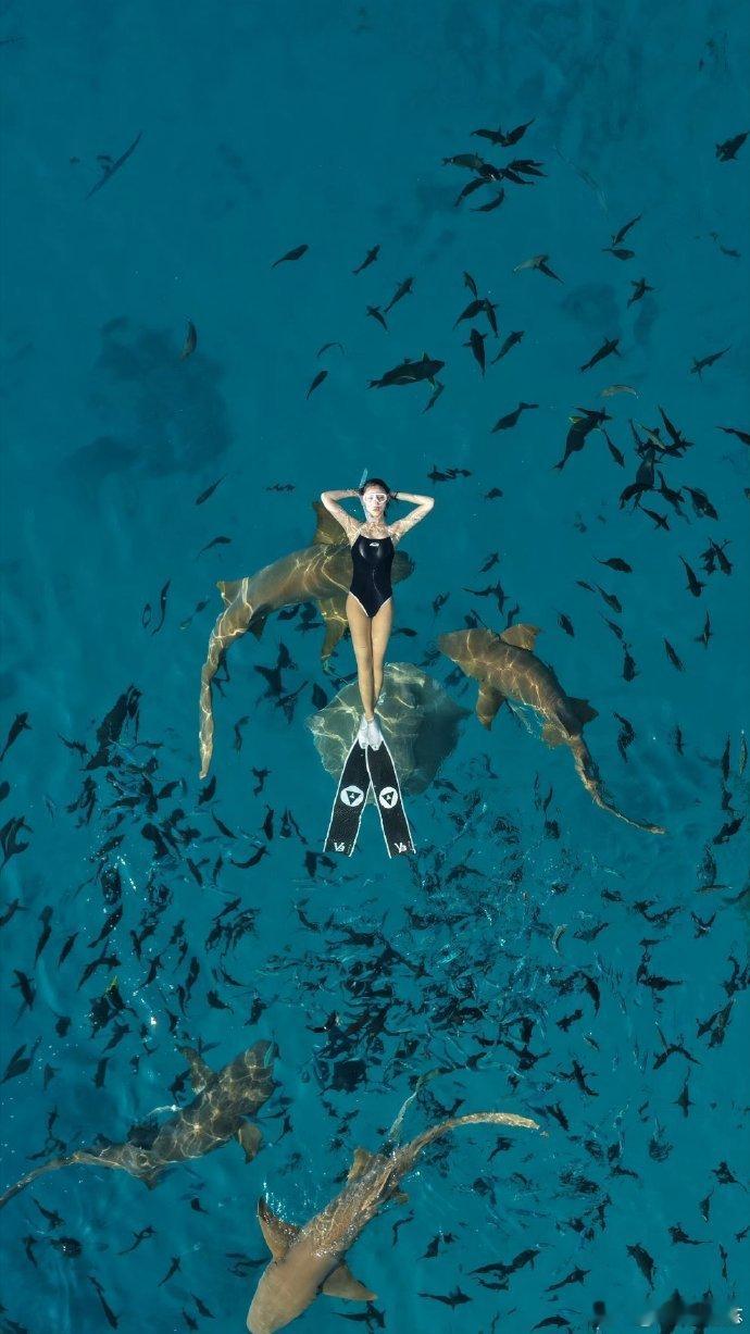 何宣林 我是民选黑马何宣林说自己是民选黑马也太可爱了，自信又坦荡，真的很招人喜欢