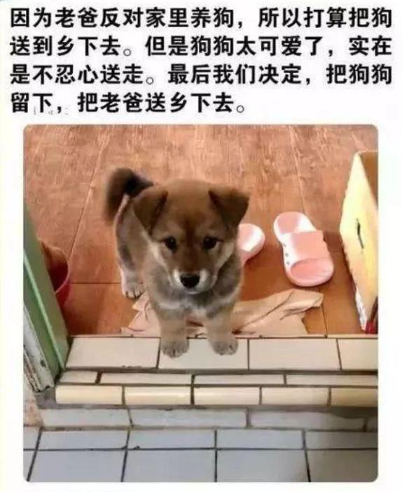 有时候，换个角度考虑问题，问题就会迎刃而解[捂脸][捂脸]