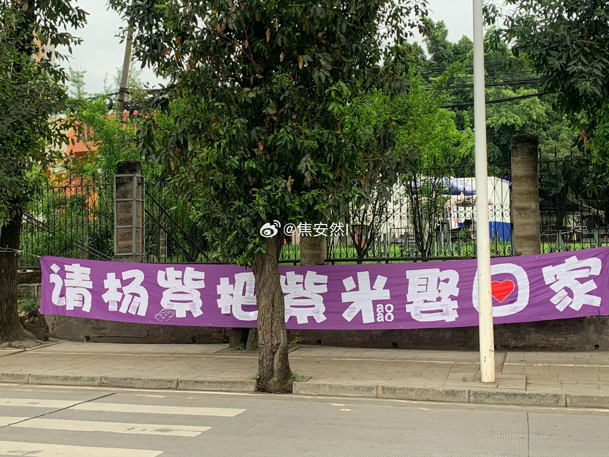 杨紫今天apm活动的线下应援把紫米娶回家哈哈哈 ​​​