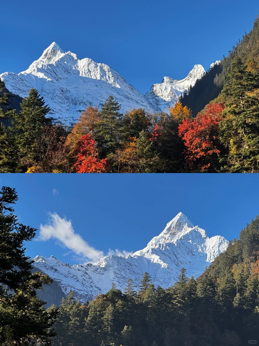 11月去雨崩的姐妹一定要看丨超全徒步攻略