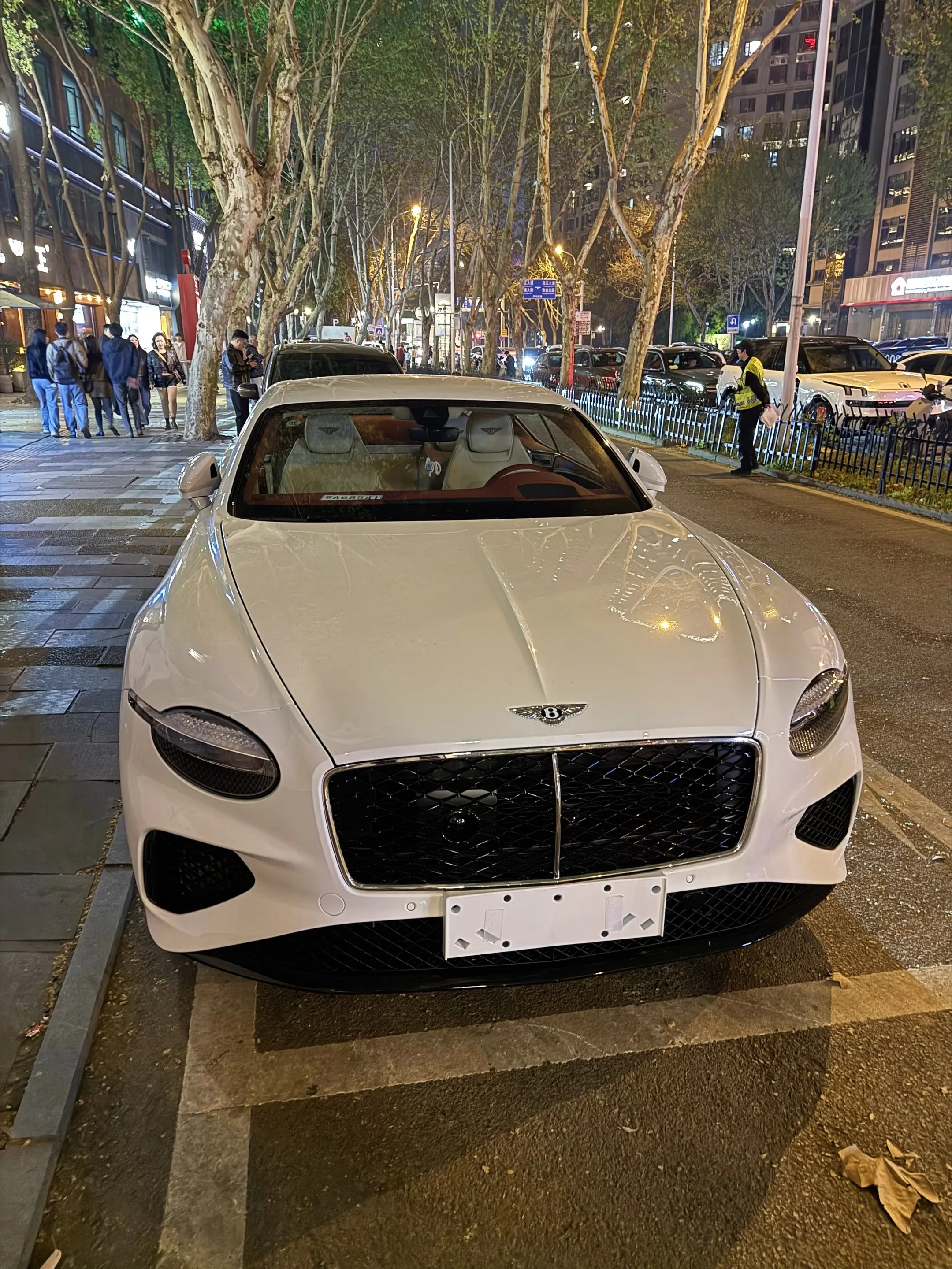 新款欧陆GT非常的优雅我不做评价！你们觉得颜值拉满了吗？