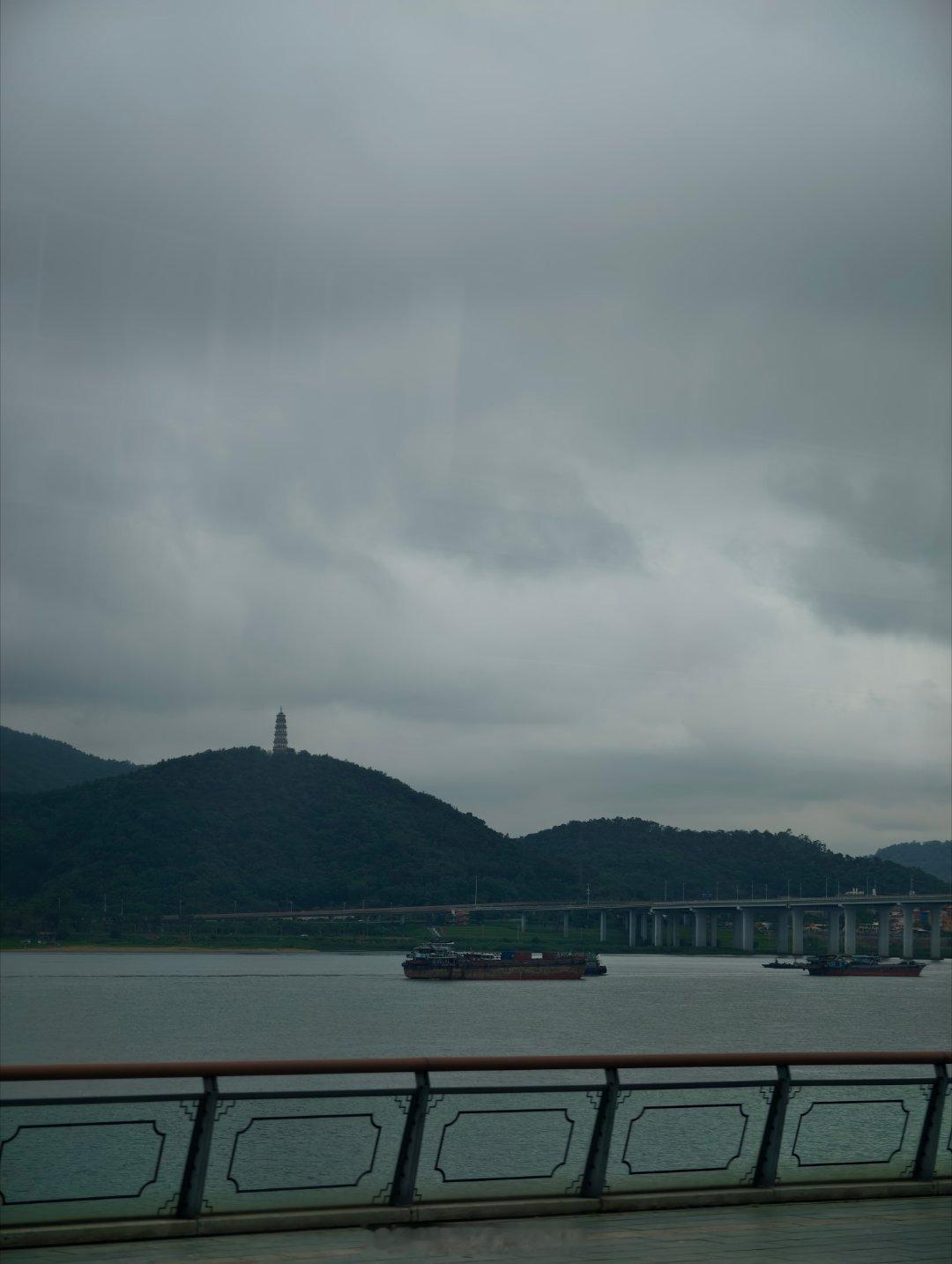 肇庆，哥们来了哈鸽报行踪哈布尔的随行拍 肇庆