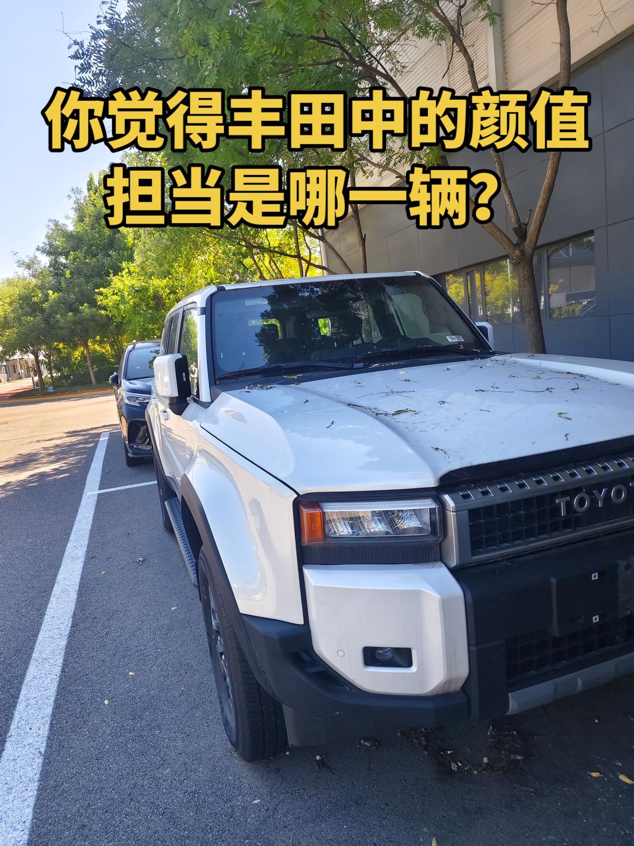 丰田 爱车 说车聊车 真实生活分享计划