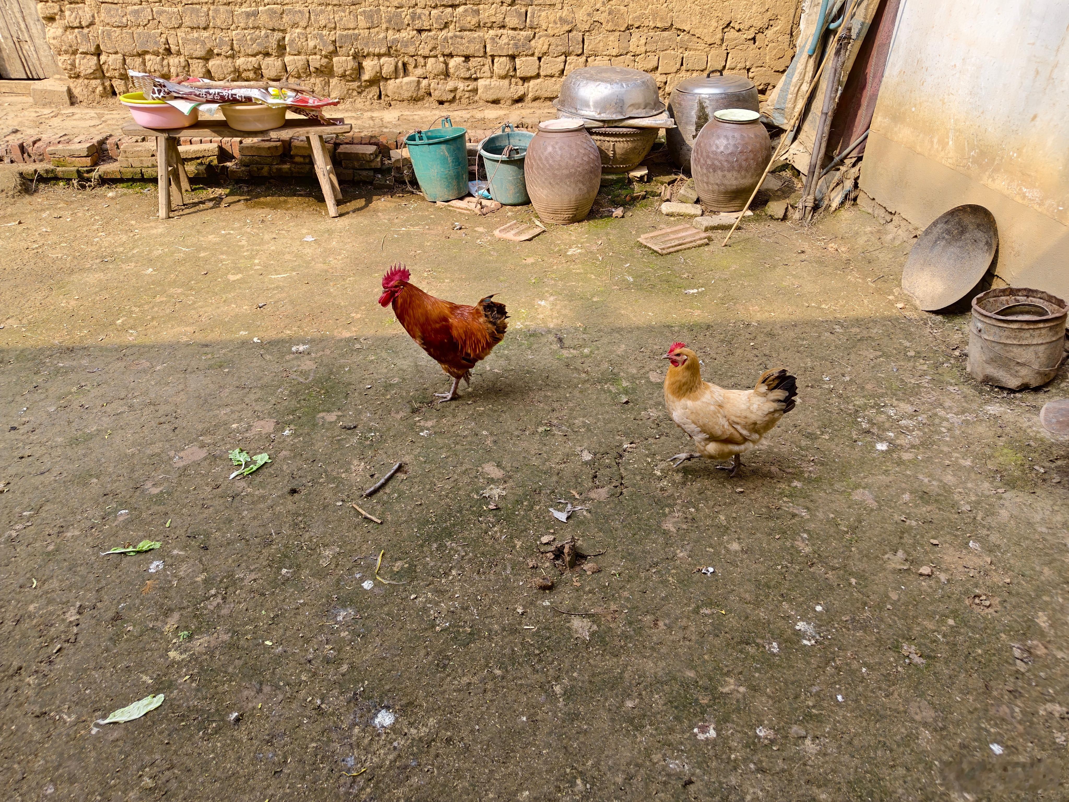 给大伙看看我的房子，我还有辆九号，也是有车有房的人，这条件能讨到老婆不？