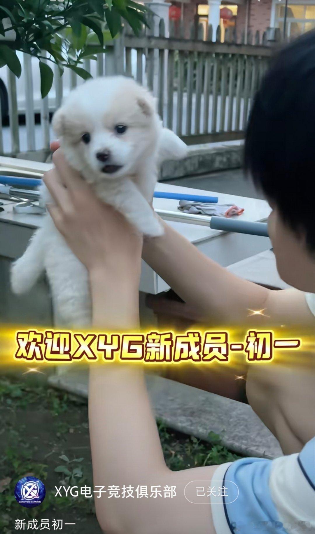 XYG电子竞技俱乐部xygxyg电子竞技俱乐部 这个小初一完全绝世萌物来的…… 