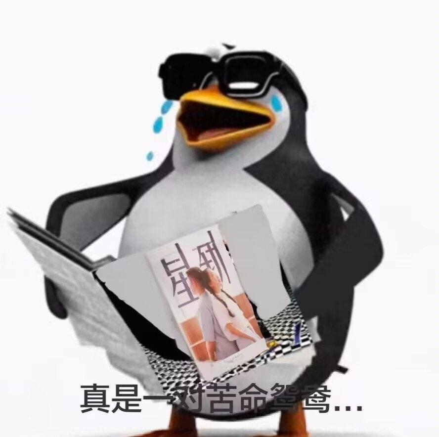 南宁二中星轨和学校没有关系！和老师没有关系！和学生没有关系！是神入考到了二中不是