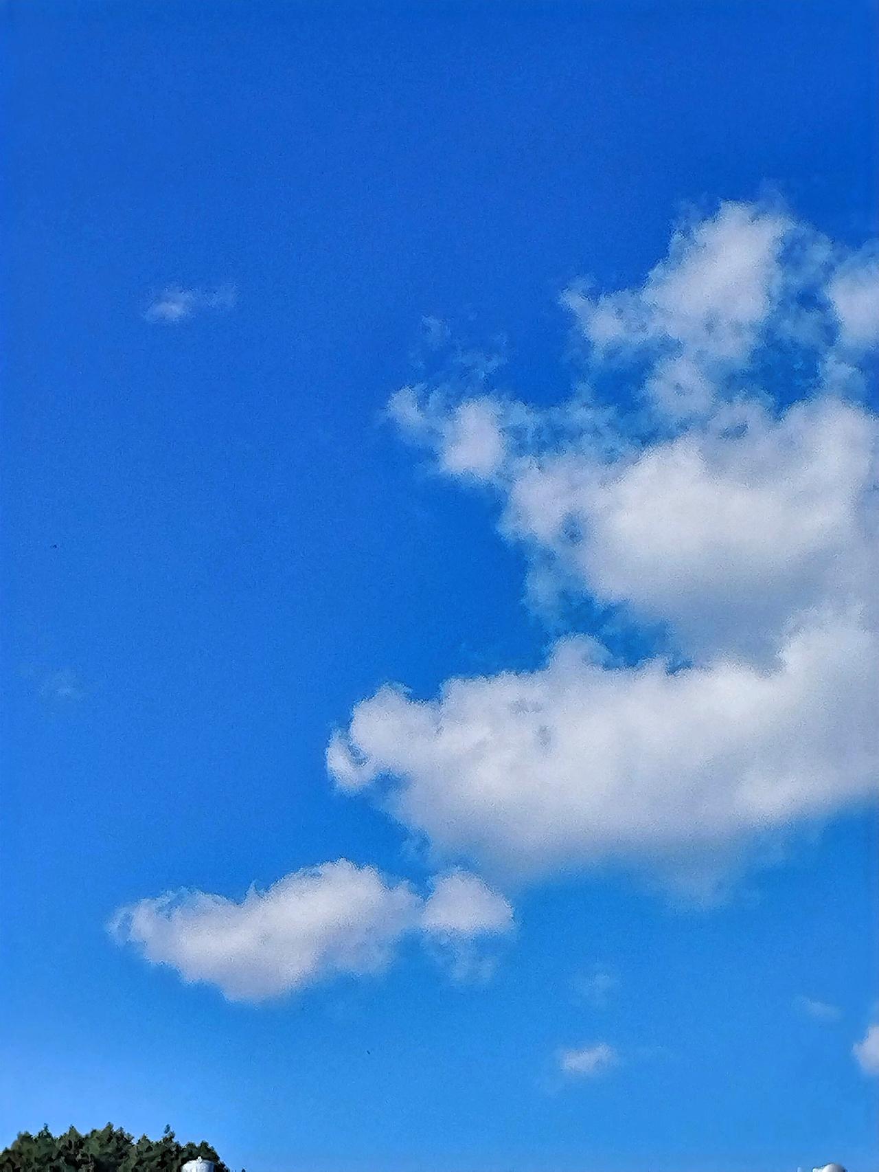 蓝天白云，心旷神怡，大自然的美好尽收眼底。看着这澄澈天空中飘荡的云朵，像棉花糖般