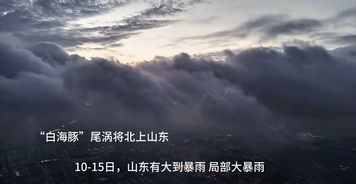 白海豚你能不能麻溜滚粗山东我测 
