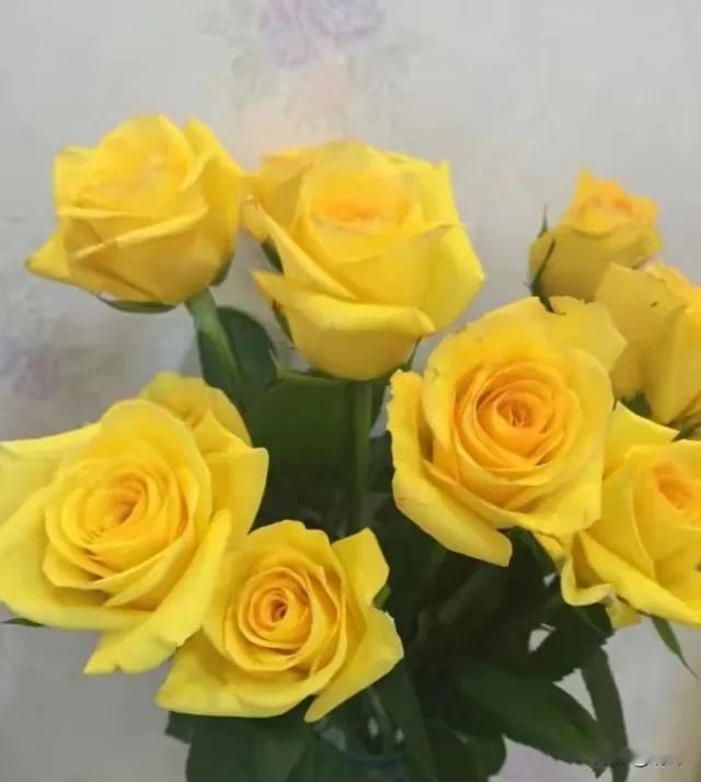 儿子和他女朋友谈恋爱10年了，儿子今年都28岁了，他女朋友大他2岁，也30岁了，