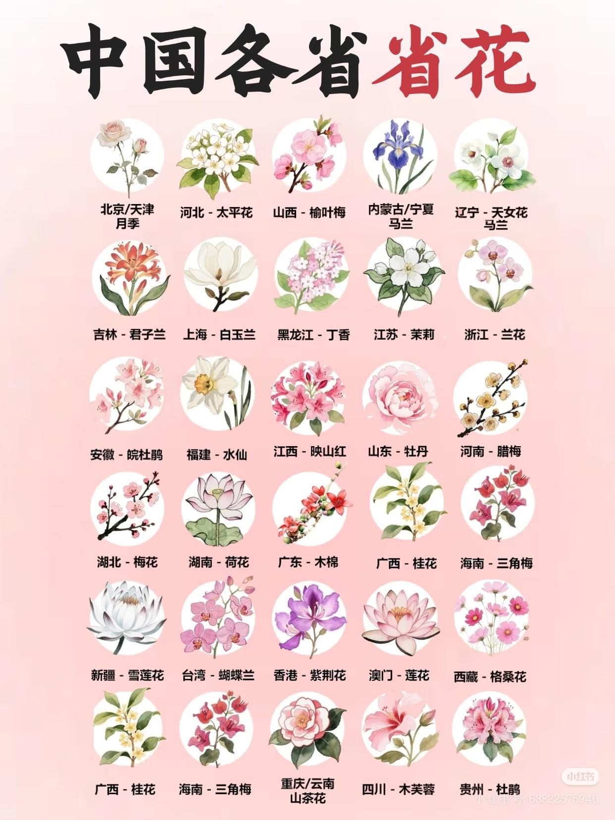 我国各省的省花，你知道是什么吗？