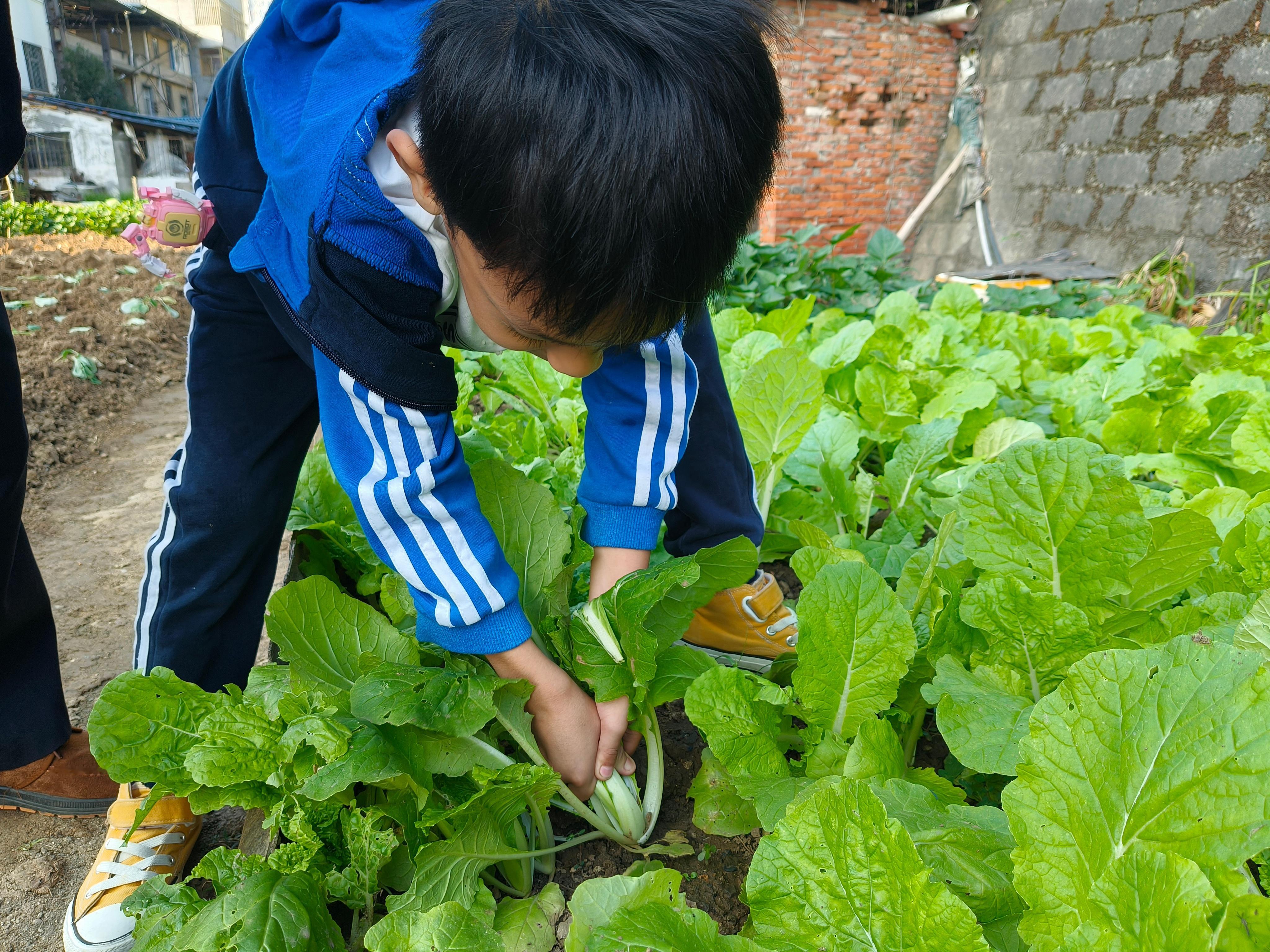 #钟南山谈怎么培养孙子的好奇心#孩子的世界充满了未知与奇妙，好奇心是他们探索世界