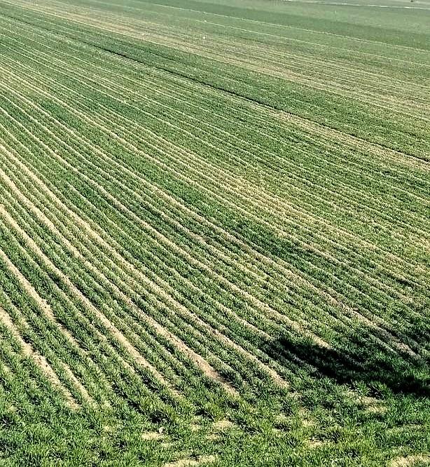 过年回趟亲戚家，最能看清谁是真心。
真诚的亲戚有这些表现：不为礼薄耿耿于怀、不用