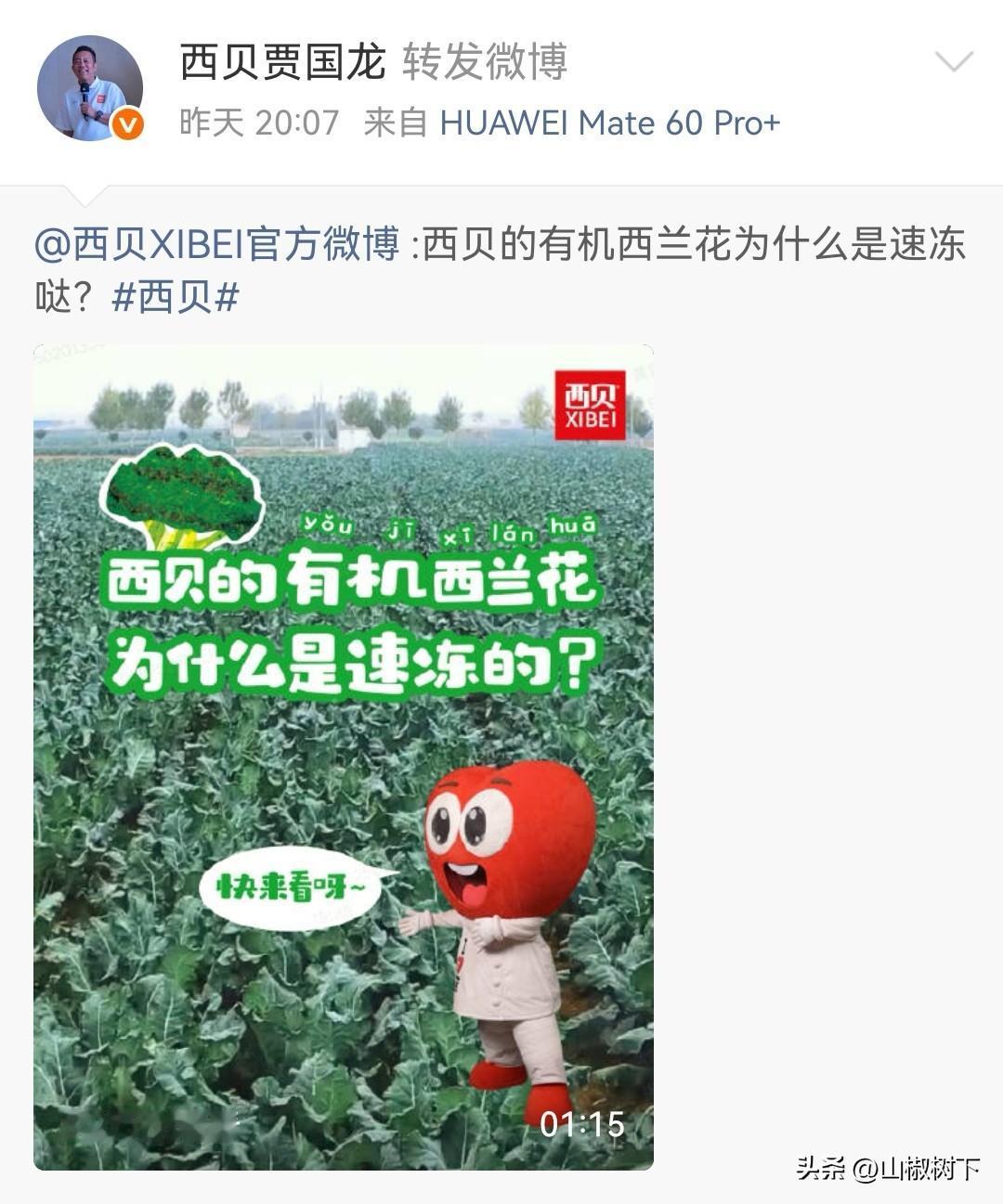 贾国龙是不把西贝干黄了不罢休啊，好不容易微博解禁了，他又开始转发西兰花了，贾总这