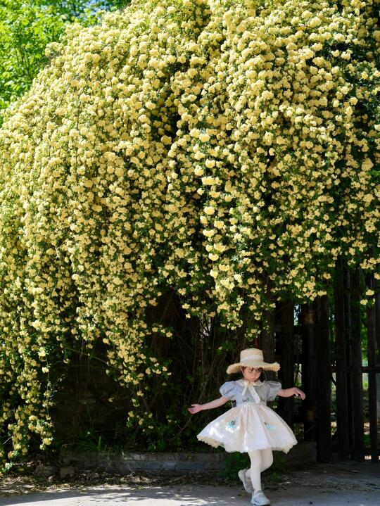 自此之后，我逢人便说合肥的春天有多美🌼