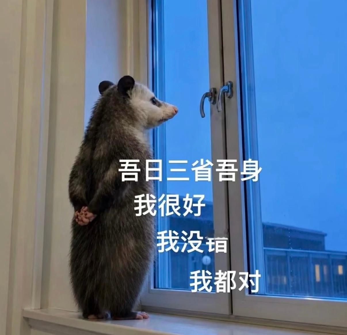 给内耗人的一句终极解药 有个心理学里的说法叫“课题分离”，简单理解就是，别人的情