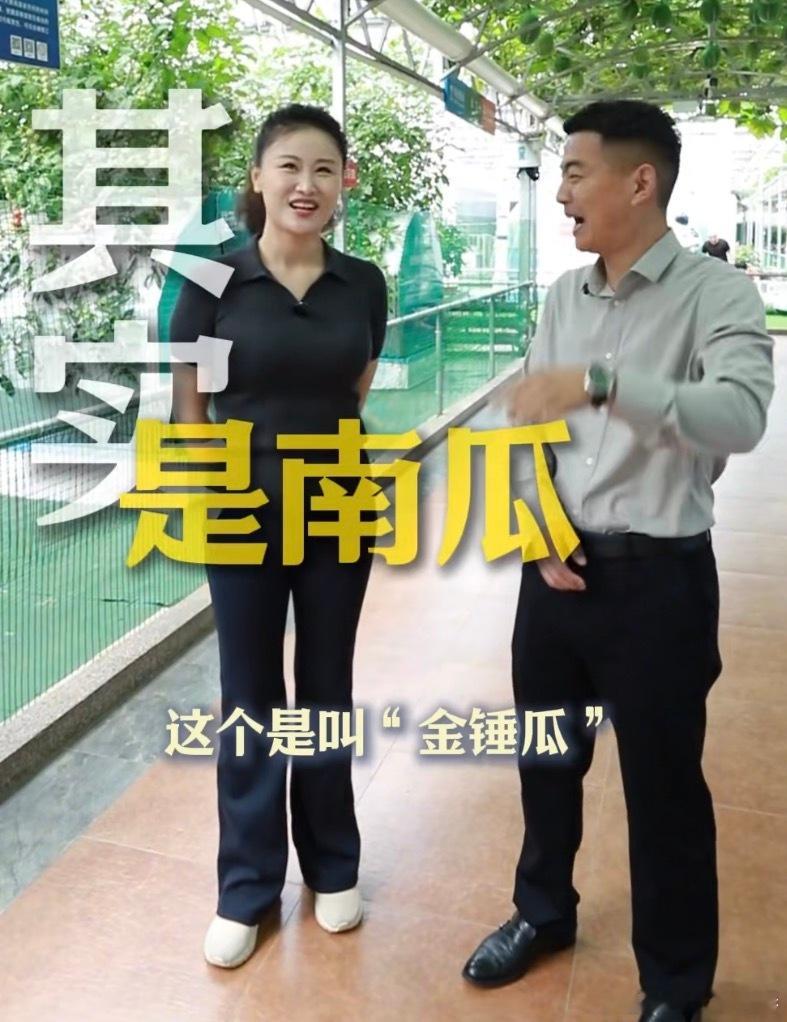 新农人玩转种菜黑科技什么？连种菜都要卷到天花板？你看到的“南瓜”可能不是南瓜，“