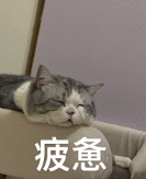 有没有和我一样的友友？每天上班无精打采，处理工作也变得很迟缓，大脑直接开启省电模