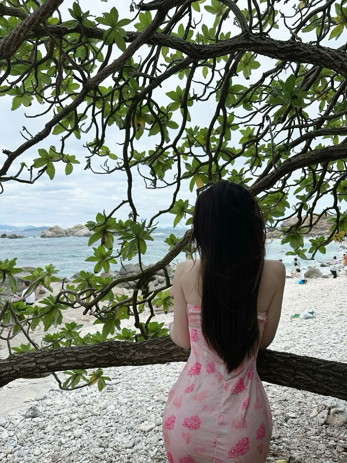 答案都在路上，自由都在风里。