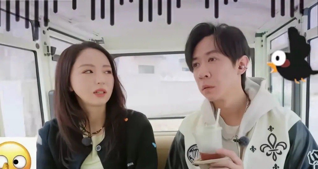 张维伊是头婚董璇是头昏一个头婚，一个头昏。董璇姐姐完全有更好的选择呀，怎么会看上