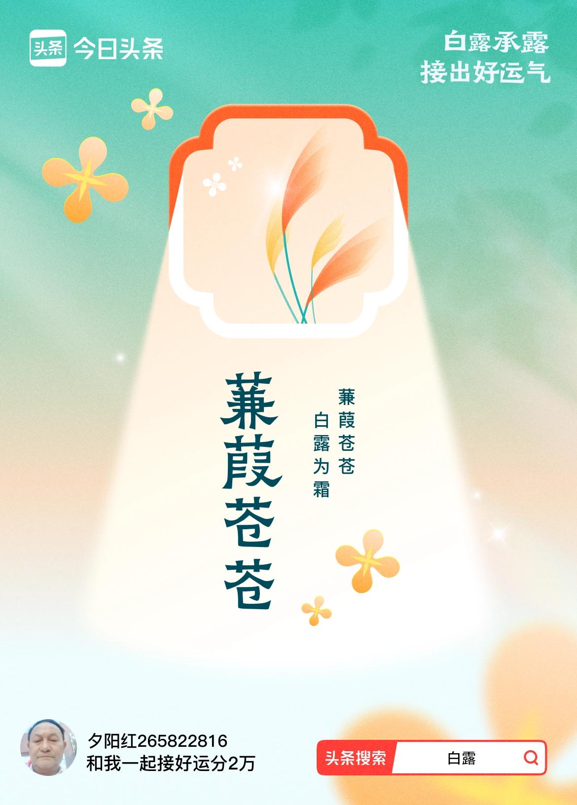 >
七绝《白露》
风过疏林落木黄，
蒹葭凝露白茫茫。
人间节序如舟过，
载得秋思