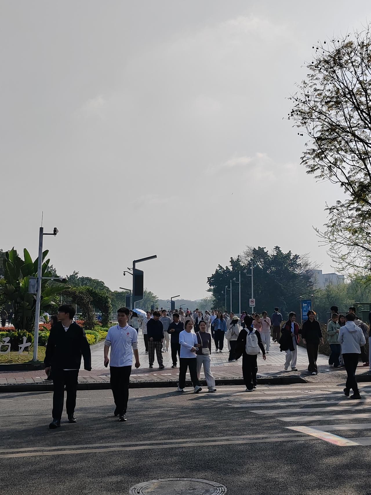 四川大学2026年春日环校跑活动超燃来袭！3月28日，师生们将活力开跑。健身跑的