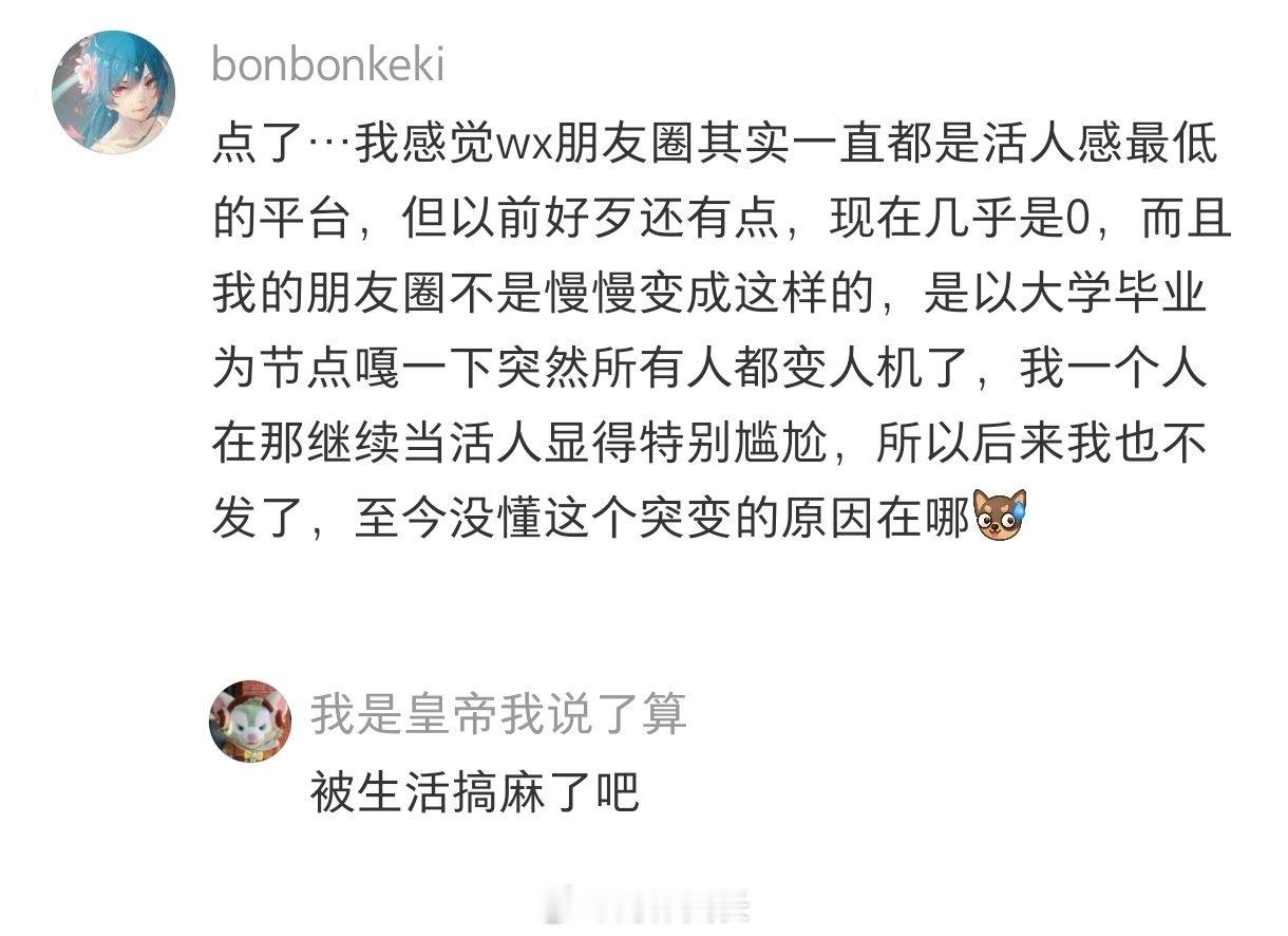 朋友圈已经没有活人感了 暑假冲浪计划