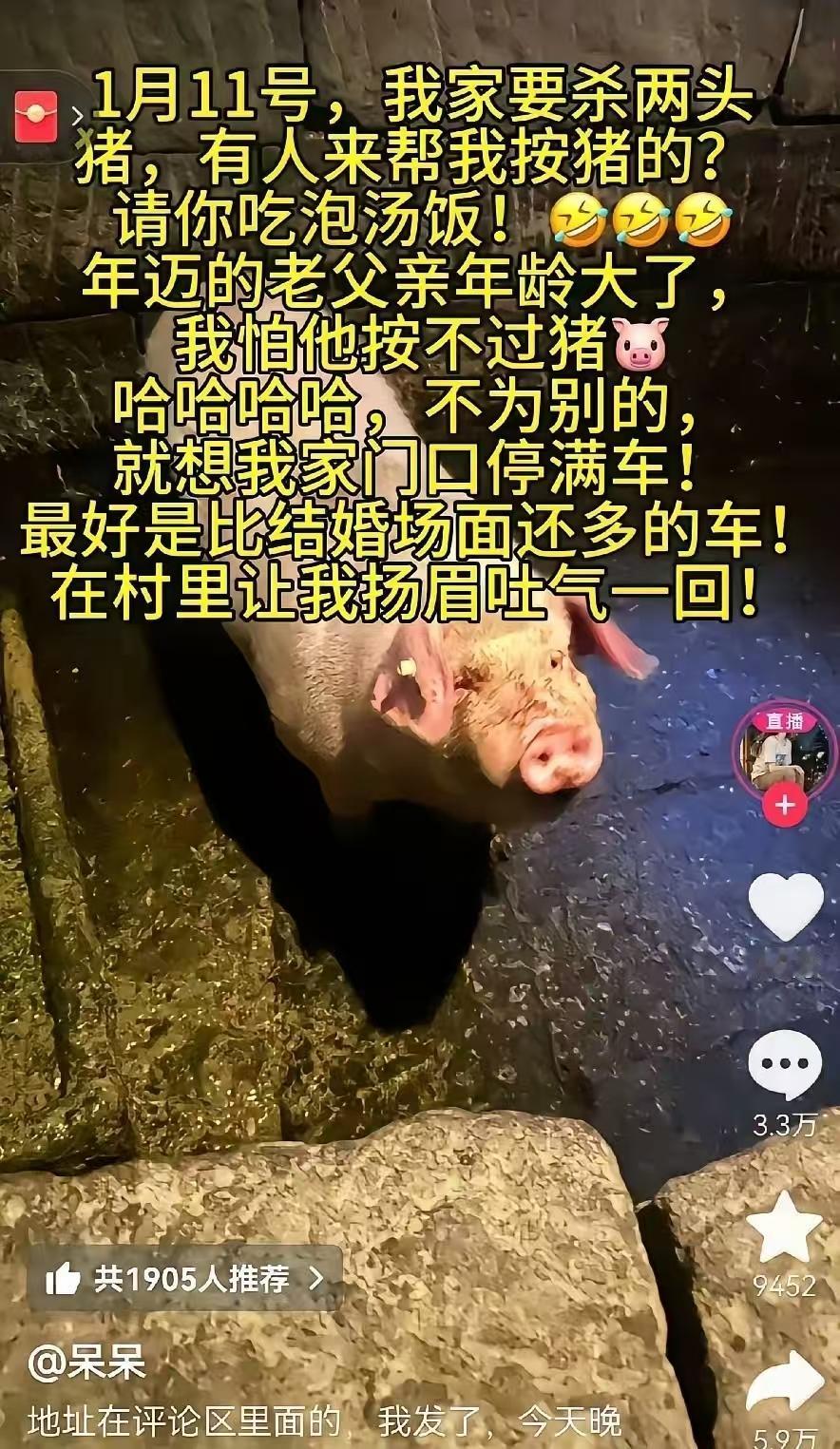 简单的杀个年猪，闯了‘大祸’了。突然有点小感动，这就是浓浓的烟火气，乡土情。我要