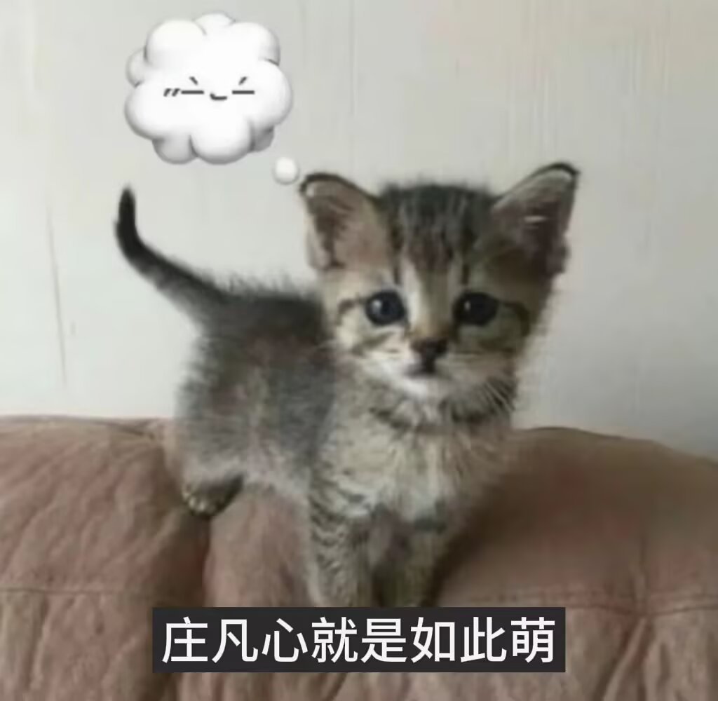 分享图片 ​​​