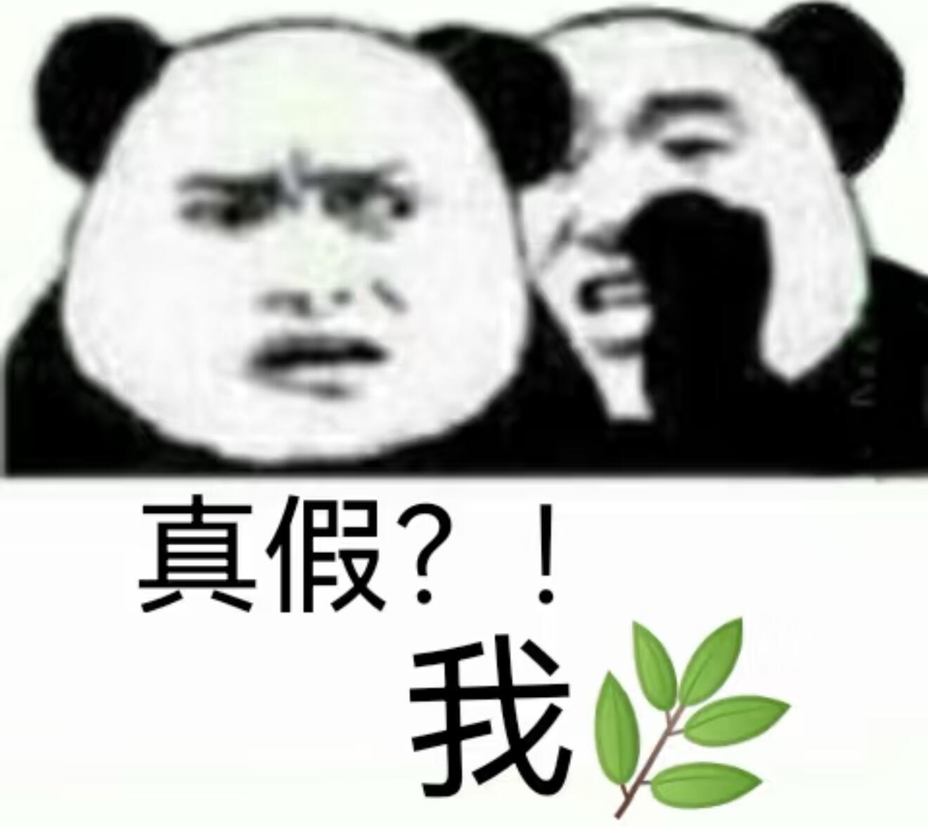 刘大锤曝内娱发现俩新孩子 什么？？？内娱又有俩孩子了啊！刘大锤提前预告的🍉一般