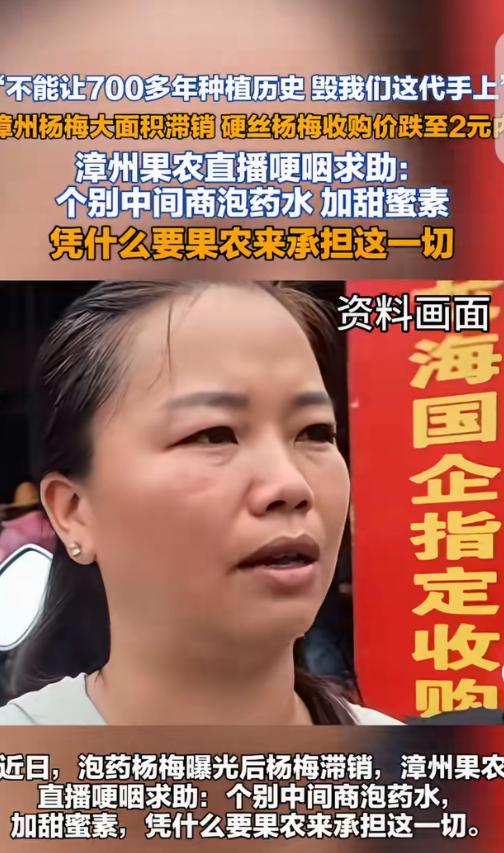 “吃毒杨梅的还没哭，卖毒杨梅的倒先哭了！”福建漳州，一女子家祖祖辈辈种杨梅，可“