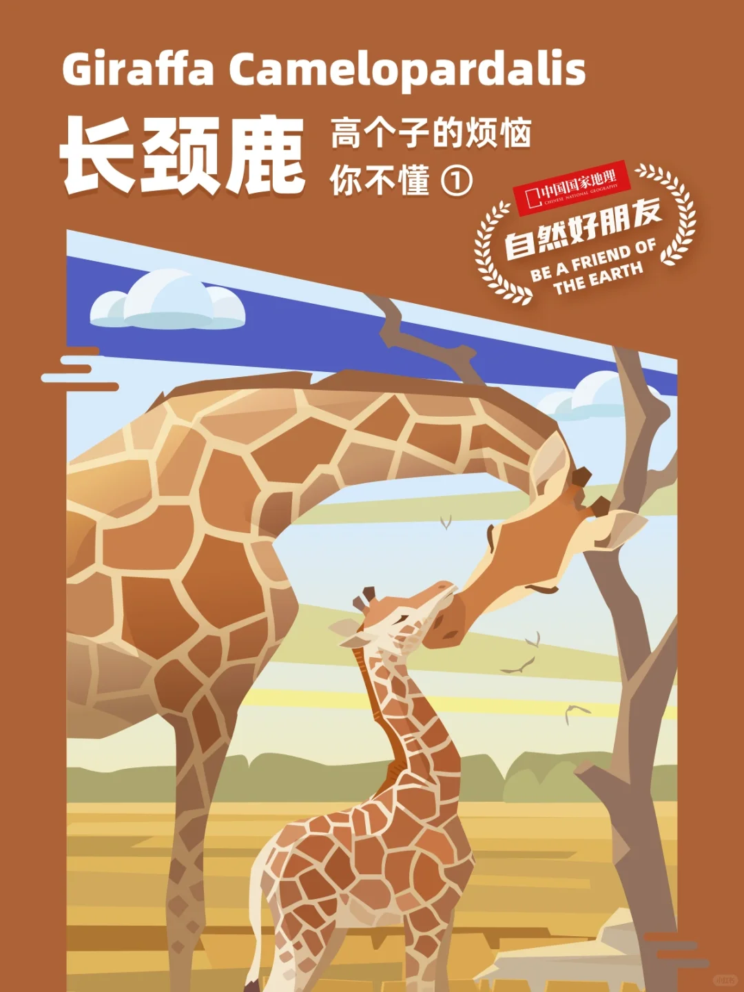 长颈鹿：个子高烦恼多，但心很大很快乐！