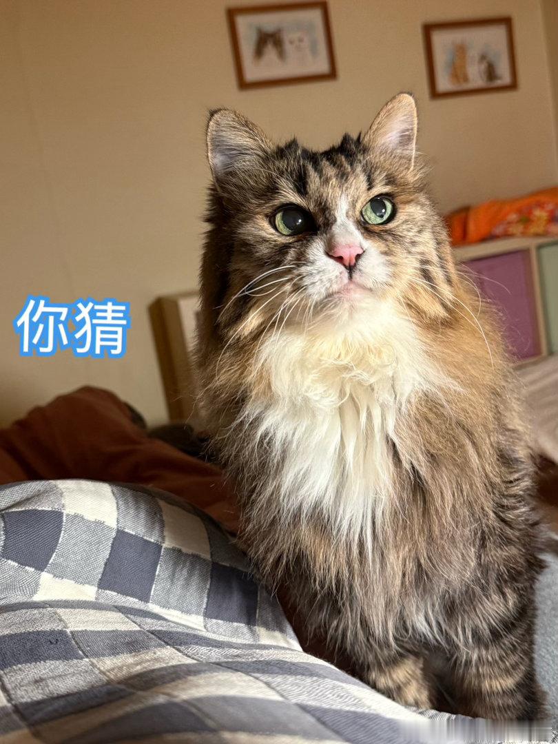 赵老师说，等他退休了他就陪我去爬山（我不信），陪我去露营（我还是不信），每周陪我