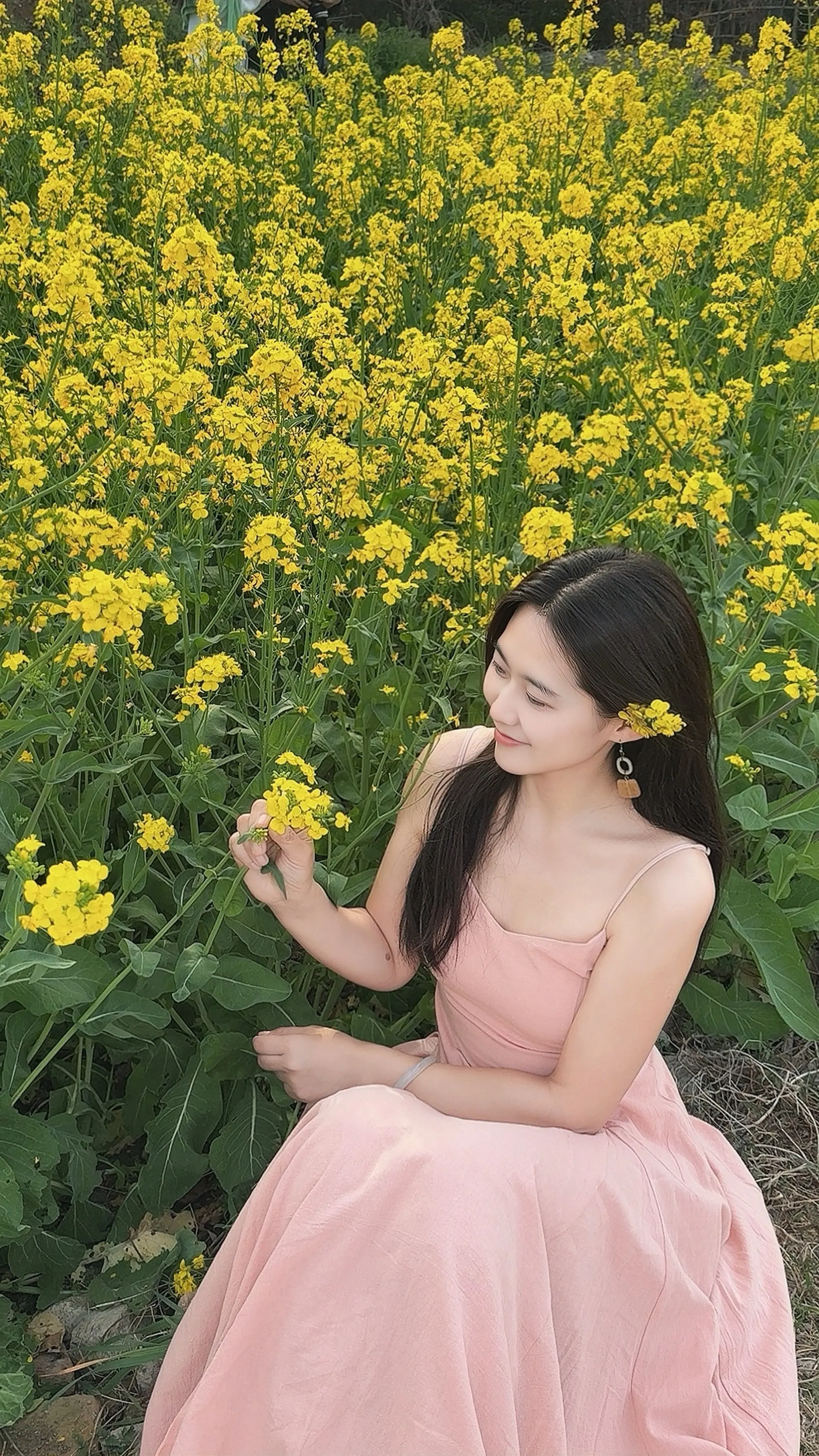 ▪𝙎𝙥𝙧𝙞𝙣𝙜🍃故事的小黄花🌼 油菜花开，染指流年，人...