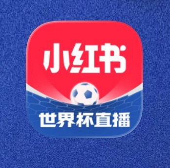 什么意思