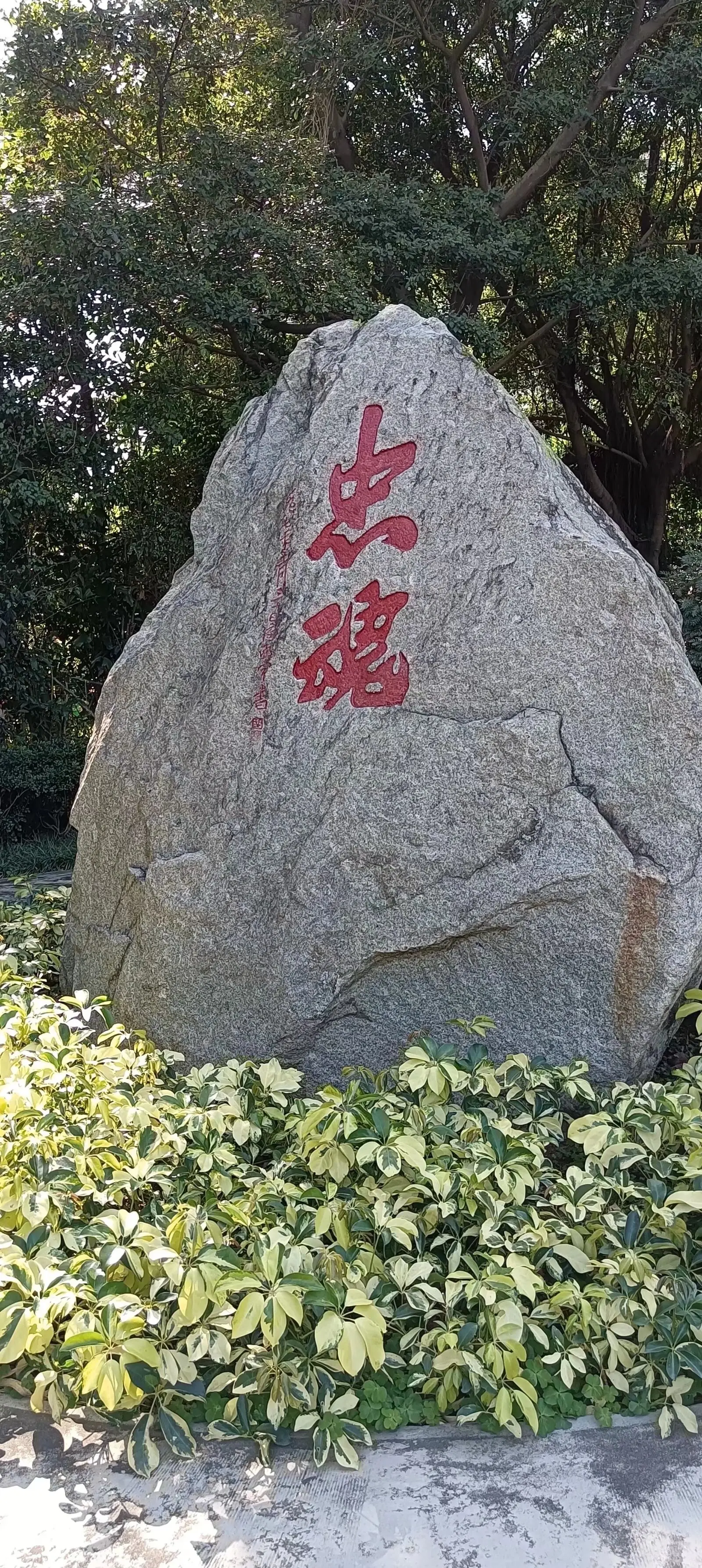 用血肉之躯筑起了民族的防线。从珠江到黄浦江，从岭南到淞沪，这是一段用草...