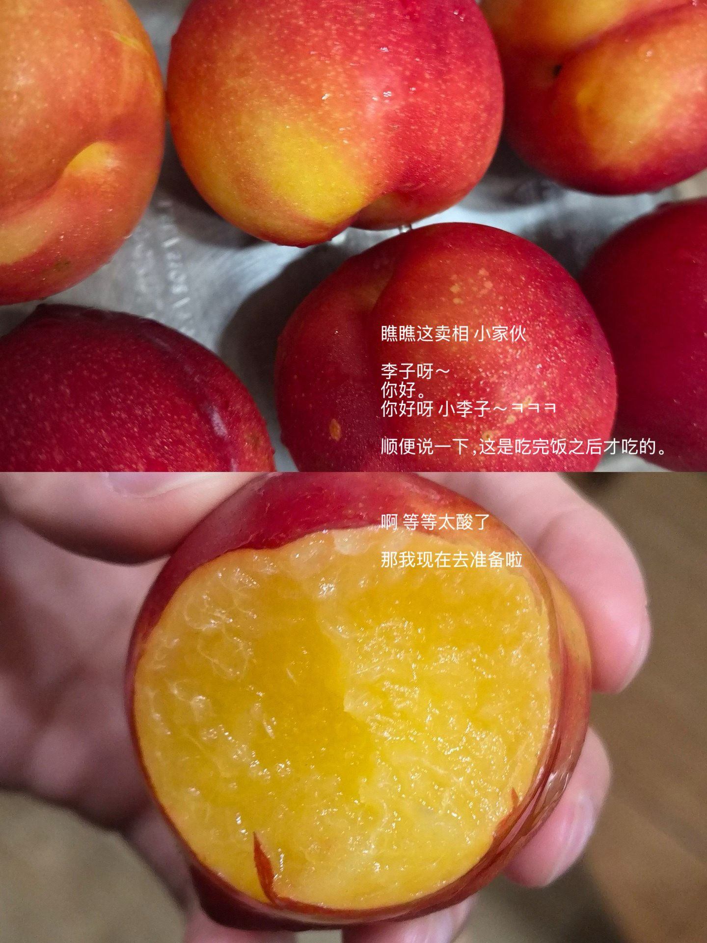 또리얘또왔다🫧💂🏻💭和李子也要打招呼的小朋友一大早就这么可爱吗？ 