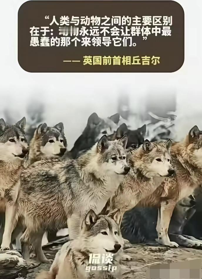 不得不佩服英国人的智慧！
          只可惜，老英帝国也老了，否则也不用