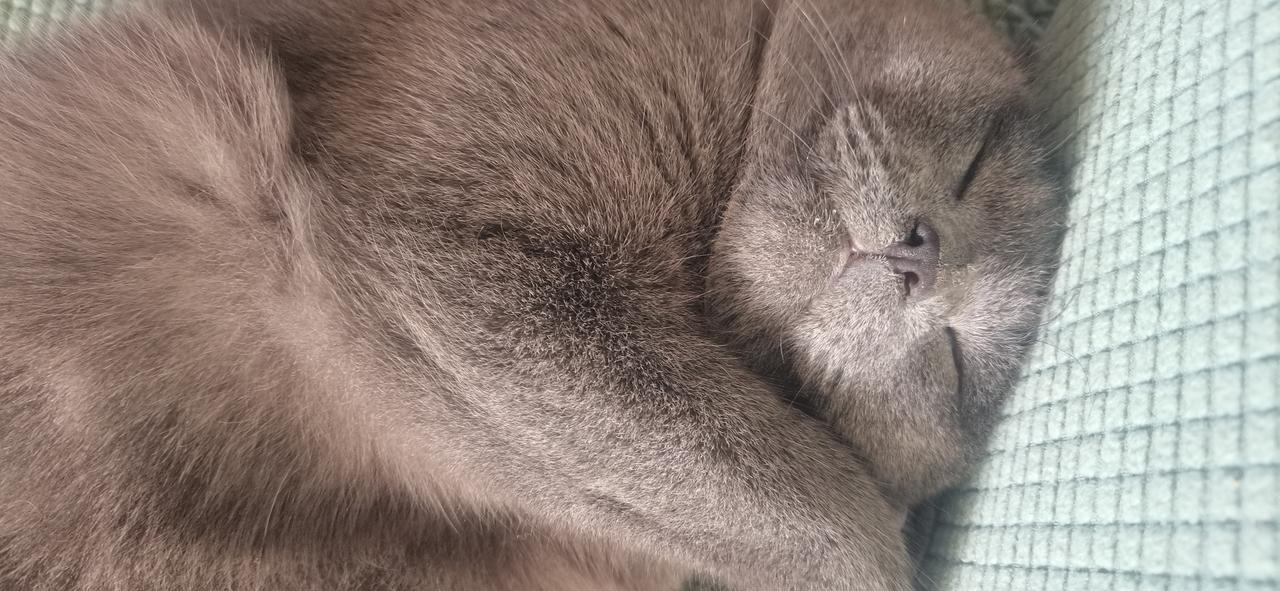 你是这条街上最靓的仔