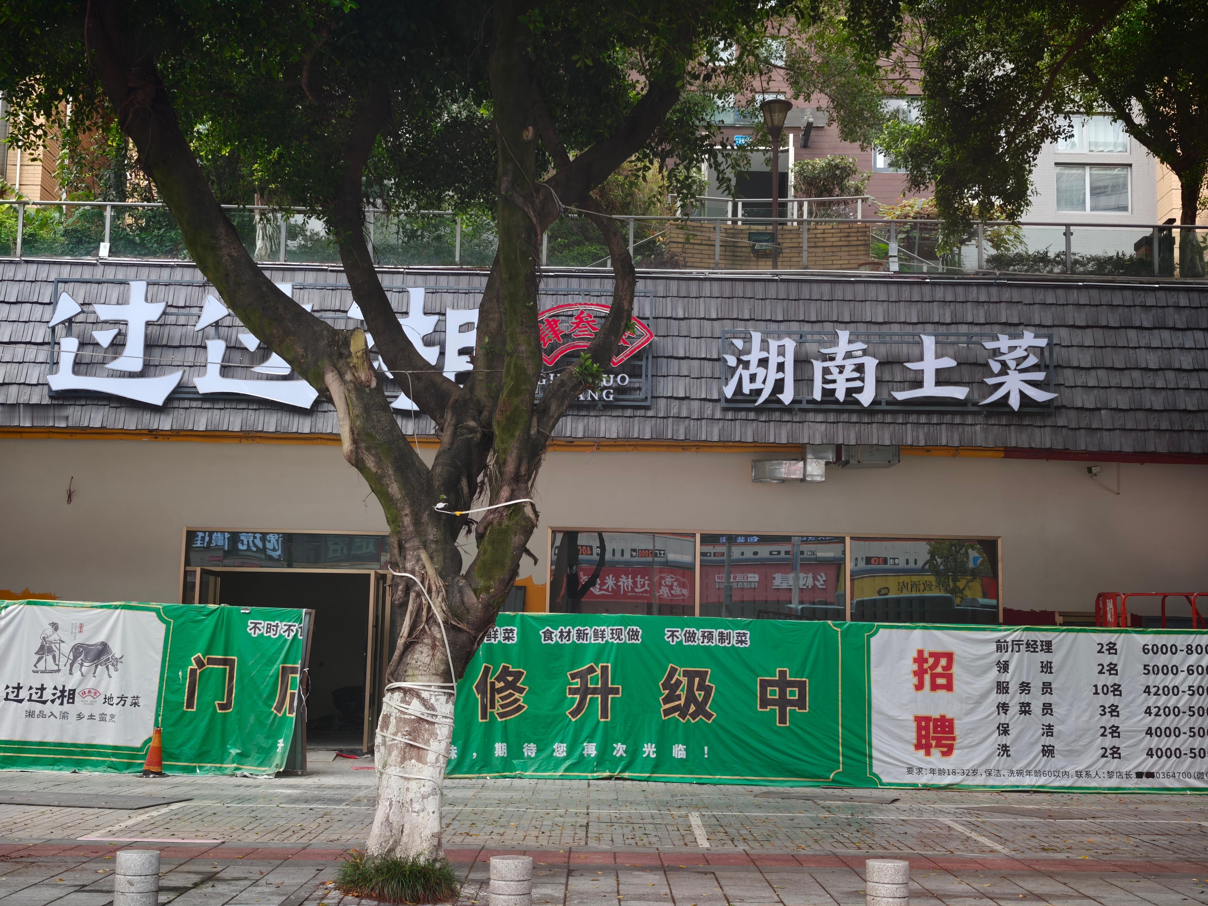 公司斜对面之前是家顺德菜馆，印象离发开业宣传单就过了3、4个月。原本还想带家里人