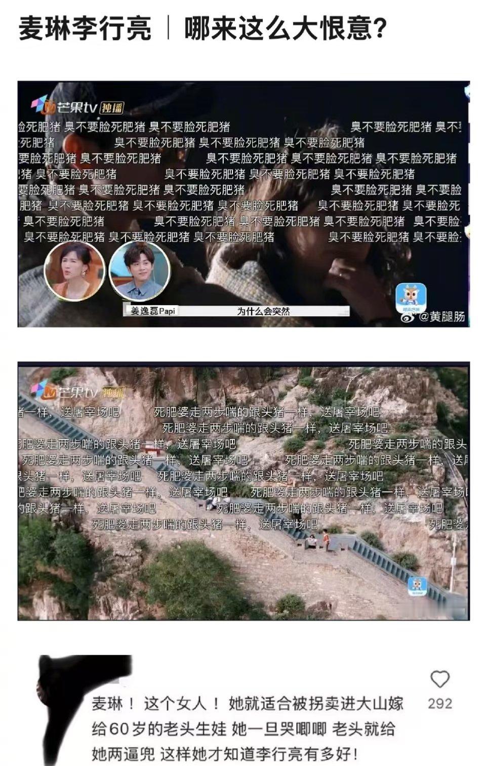 麦琳弹幕  再见爱人4麦琳的弹幕   近日，综艺《再见爱人4》关于麦琳的弹幕引发