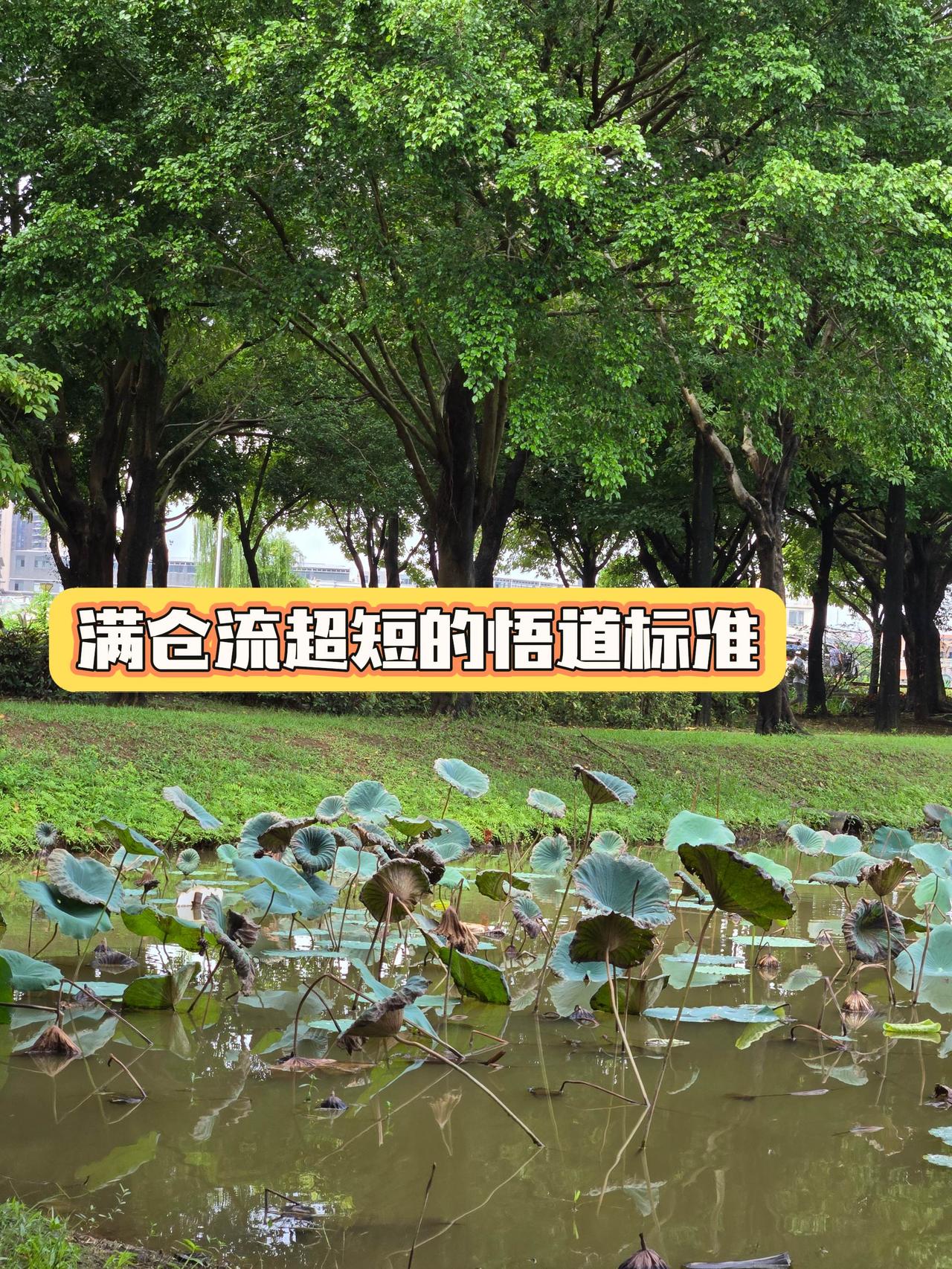 超短线 短线交易