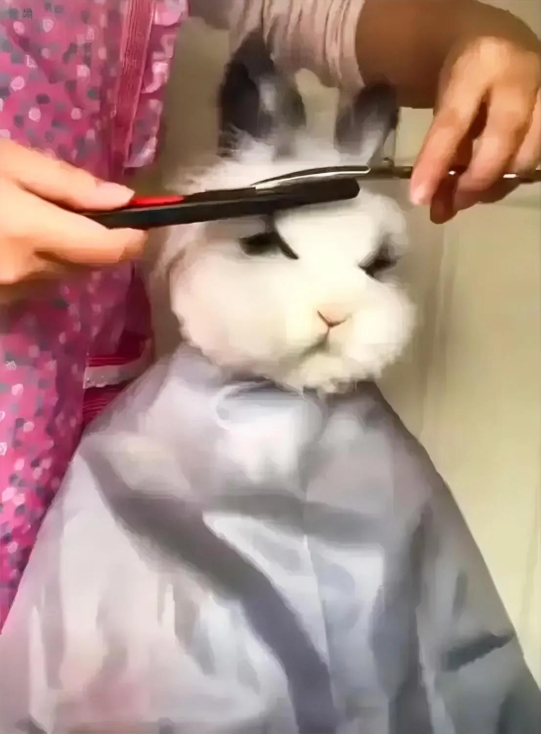 1.肖战的电影《射雕》拍完剪掉了为角色需要蓄了很久的长发，换为清爽的短发帅哥形象