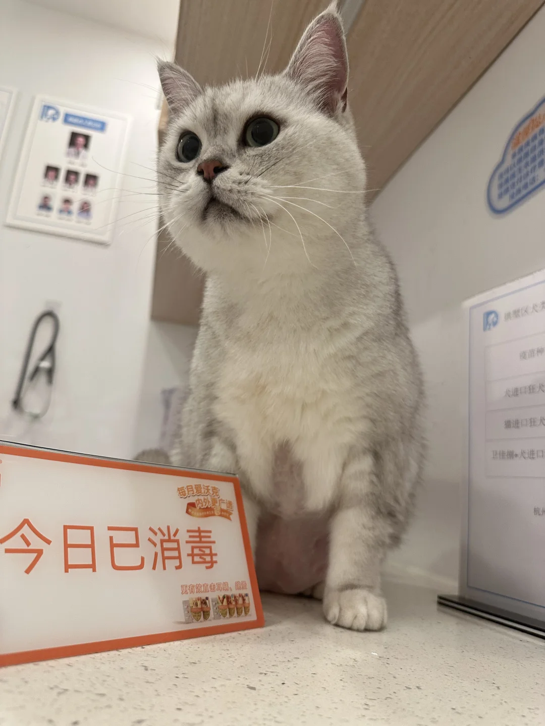 男明星不雅照流出