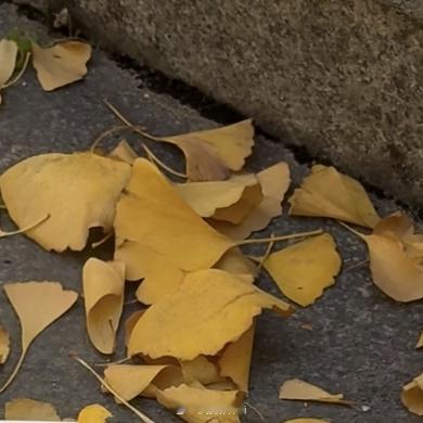 每一天都是全新的开始，都藏着无限的可能。别被过去的失意绊住，别因暂时的迷茫退缩，